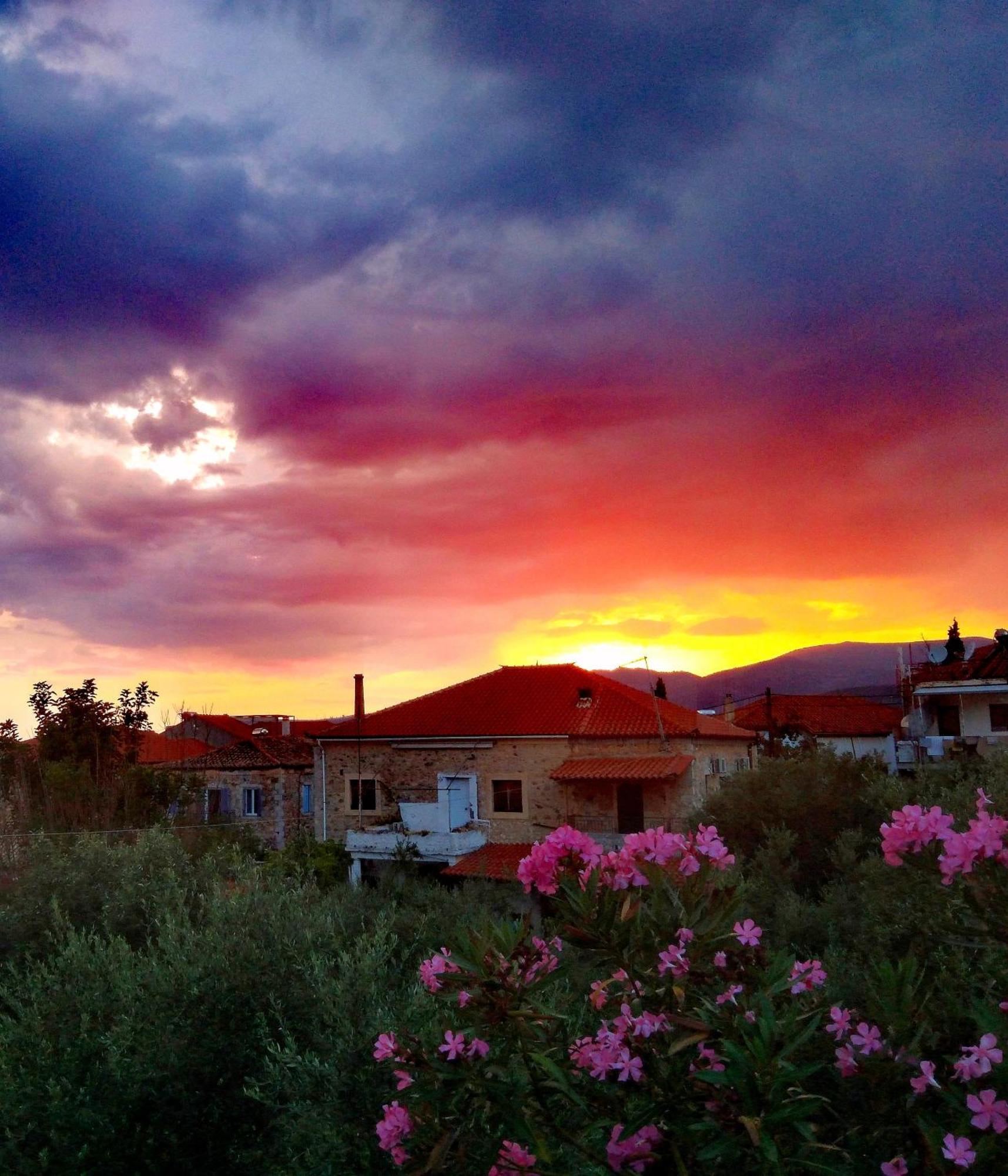 Sea And Sun Apartments 304 Ιδιωτικό Διαμέρισμα Kardhamili Luaran gambar